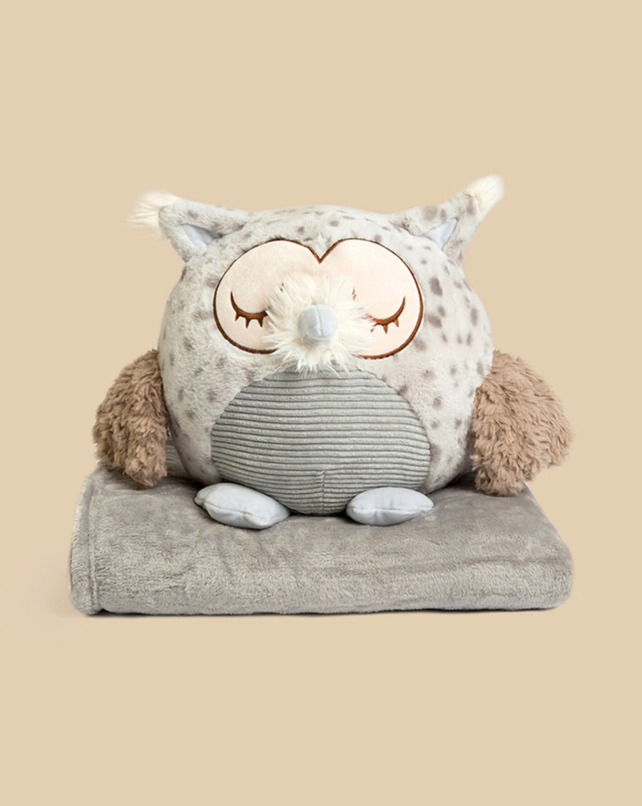 Hooty Hoot The Owl of Wisdom