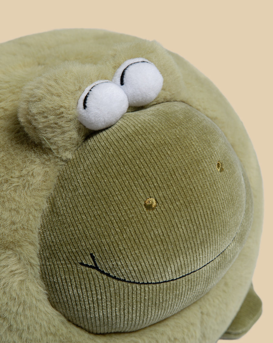 Findcozzie Frog Cushion