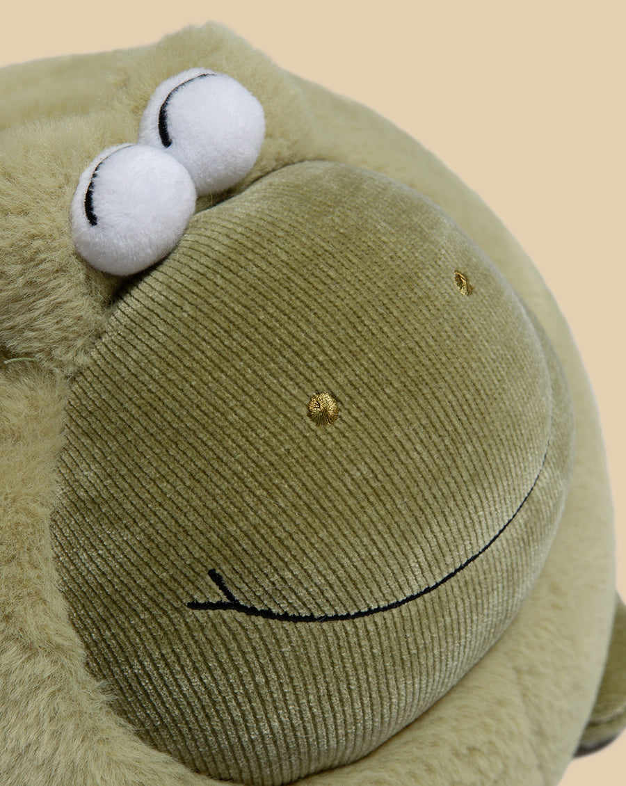 Findcozzie Frog Cushion